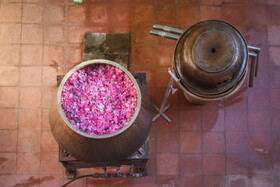 تهیه گلاب به شیوه سنتی و با ابزار سنتی در خانواده میررحیمی در قزوین