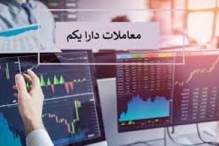 دلایل اضافه نشدن دارایکم به پرتفوی خریداران اعلام شد