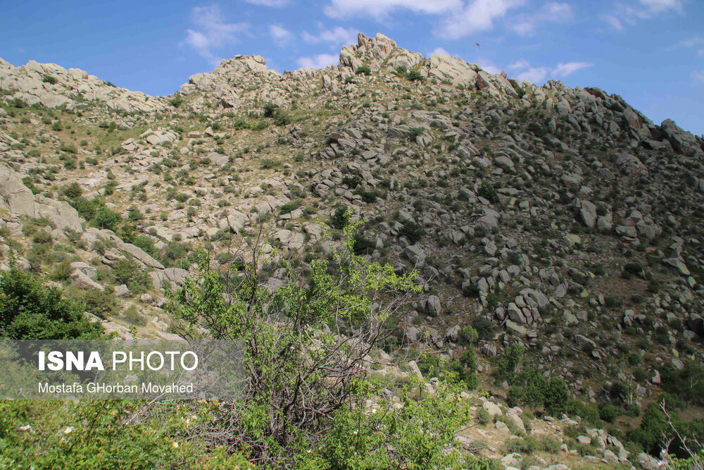 طبیعت ارتفاعات روستای مزرعه و قلعه شیور