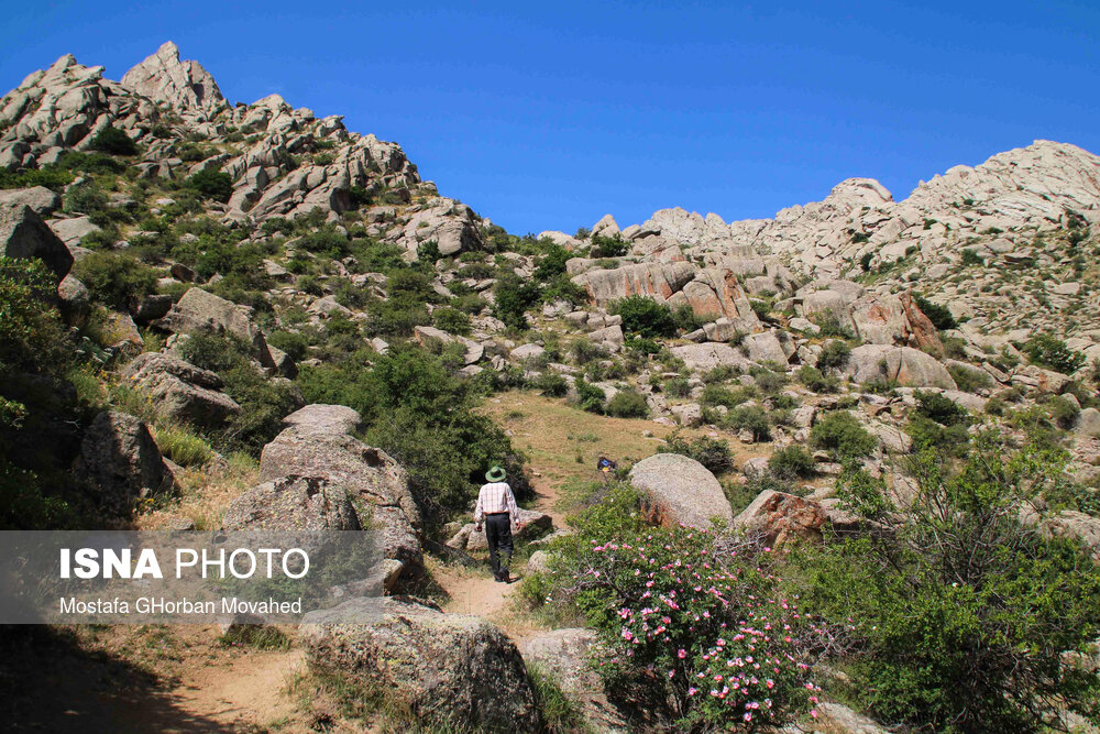 طبیعت ارتفاعات روستای مزرعه و قلعه شیور