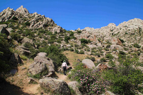 طبیعت ارتفاعات روستای مزرعه و قلعه شیور