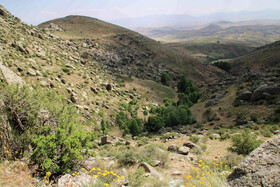 طبیعت ارتفاعات روستای مزرعه و قلعه شیور