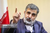 شرط ایران برای امکان دسترسی آژانس از زبان کمالوندی
