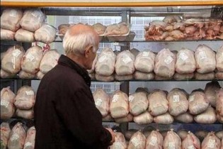 بازگشت ثبات به بازار مرغ/کمبود مرغ در صورت عدم جوجه ریزی