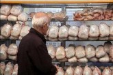 بازگشت ثبات به بازار مرغ/کمبود مرغ در صورت عدم جوجه ریزی