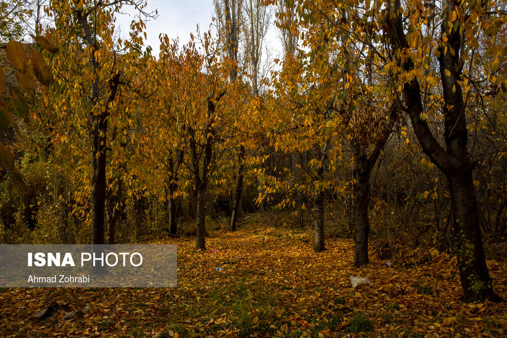 پاییز در دامنه کوه وتوس - روستای کهندان قم