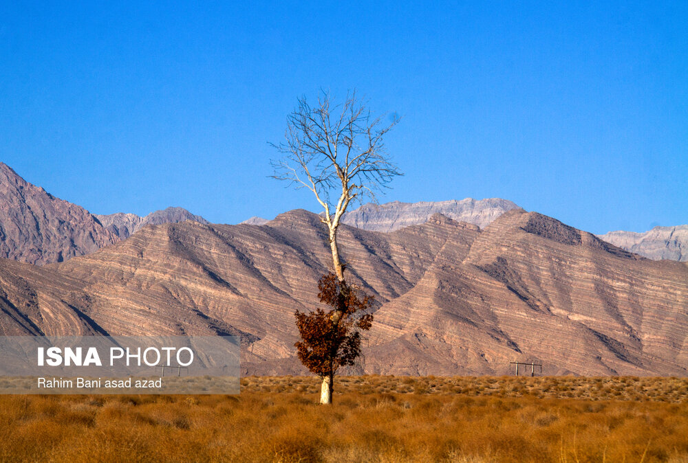 پاییز رنگارنگ در روستای «سکنج» کرمان