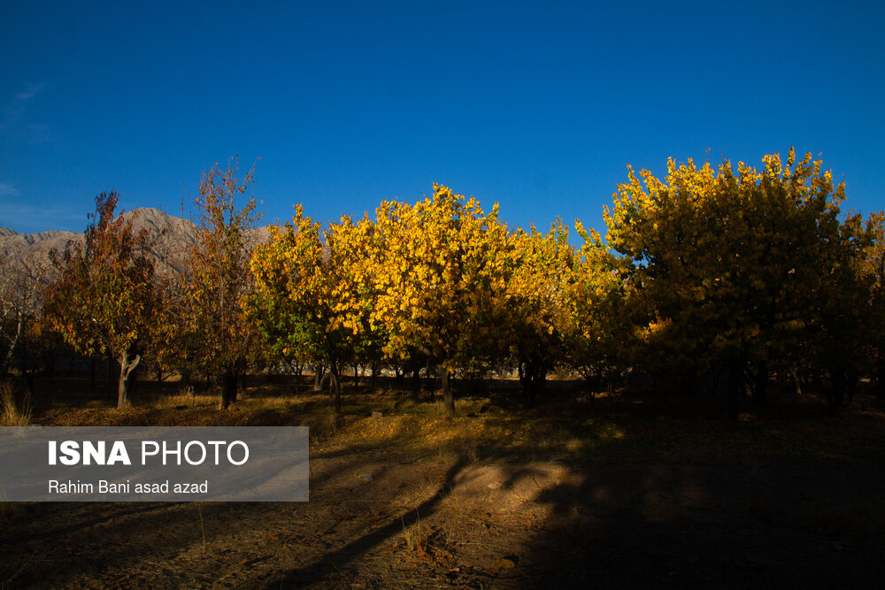 پاییز رنگارنگ در روستای «سکنج» کرمان