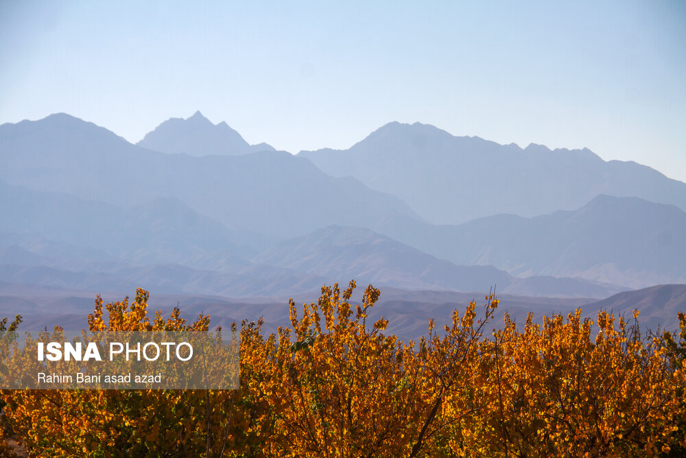 پاییز رنگارنگ در روستای «سکنج» کرمان