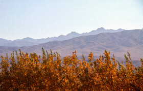 پاییز رنگارنگ در روستای «سکنج» کرمان