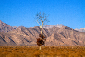 پاییز رنگارنگ در روستای «سکنج» کرمان