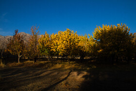 پاییز رنگارنگ در روستای «سکنج» کرمان