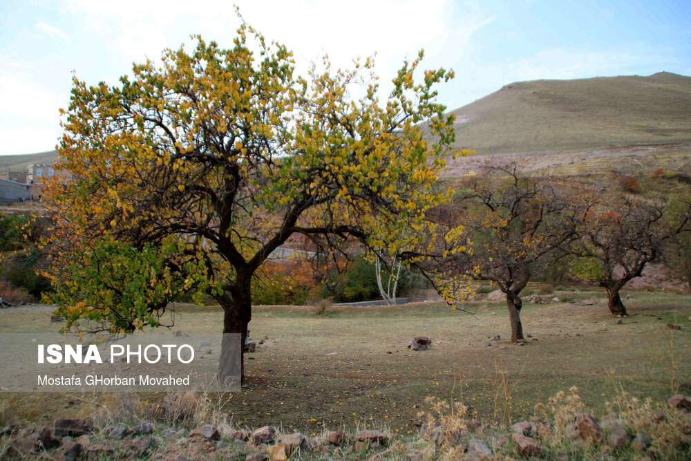 طبیعت پاییزی مناطق روستایی اهر