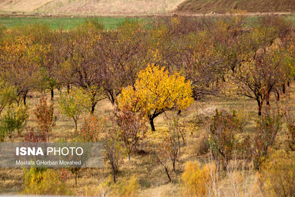 طبیعت پاییزی مناطق روستایی اهر