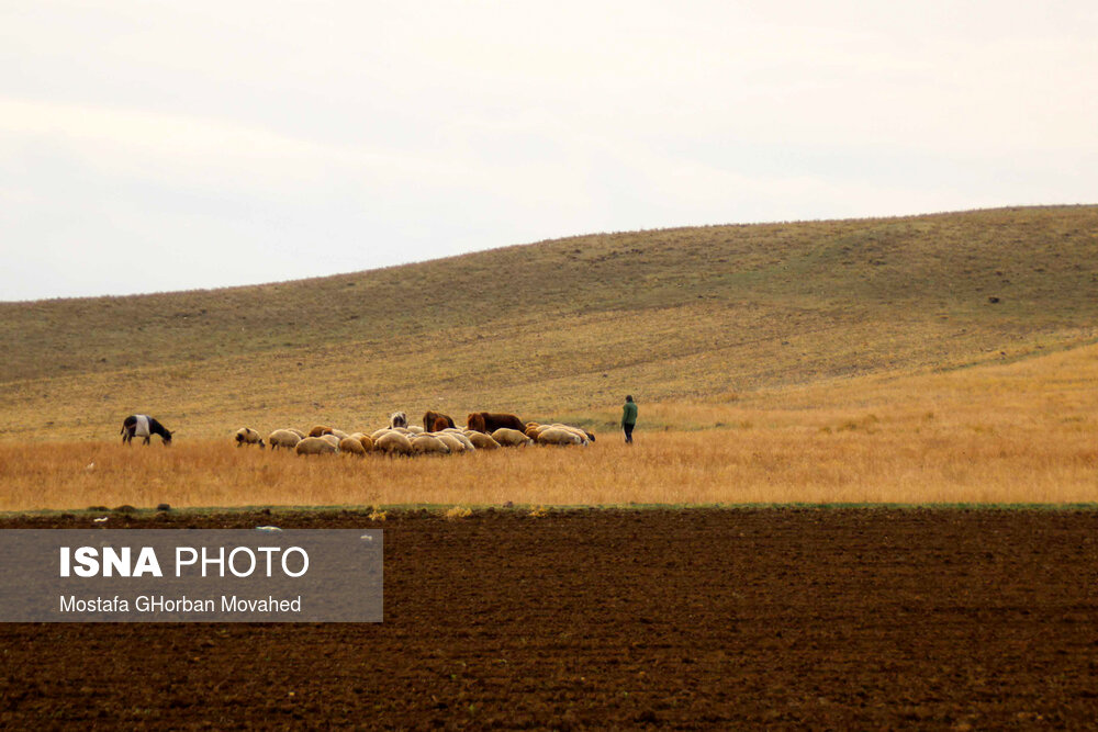 طبیعت پاییزی مناطق روستایی اهر