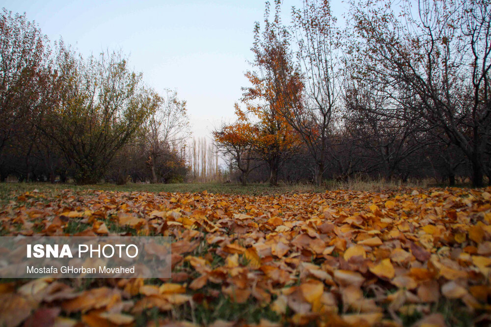 طبیعت پاییزی مناطق روستایی اهر