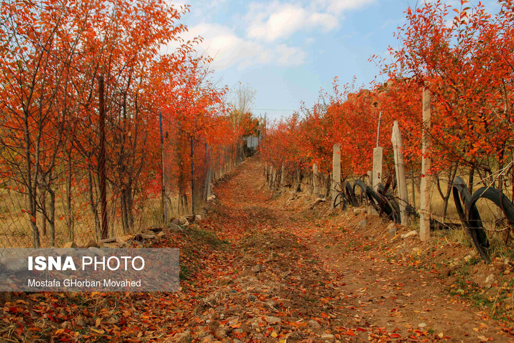 طبیعت پاییزی مناطق روستایی اهر