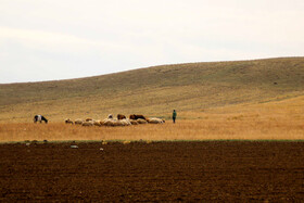 طبیعت پاییزی مناطق روستایی اهر