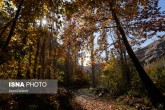 تصاویر / ایران زیباست؛ پائیز هزار رنگ «اندج»  <img src="/images/picture_icon.gif" width="16" height="13" border="0" align="top">