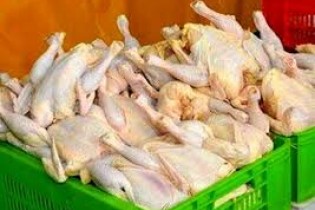 در بازار مرغ چه خبر است؟