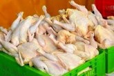 در بازار مرغ چه خبر است؟