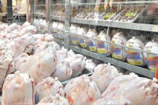 توزیع مرغ گرم در فروشگاه های زنجیره ای از شنبه