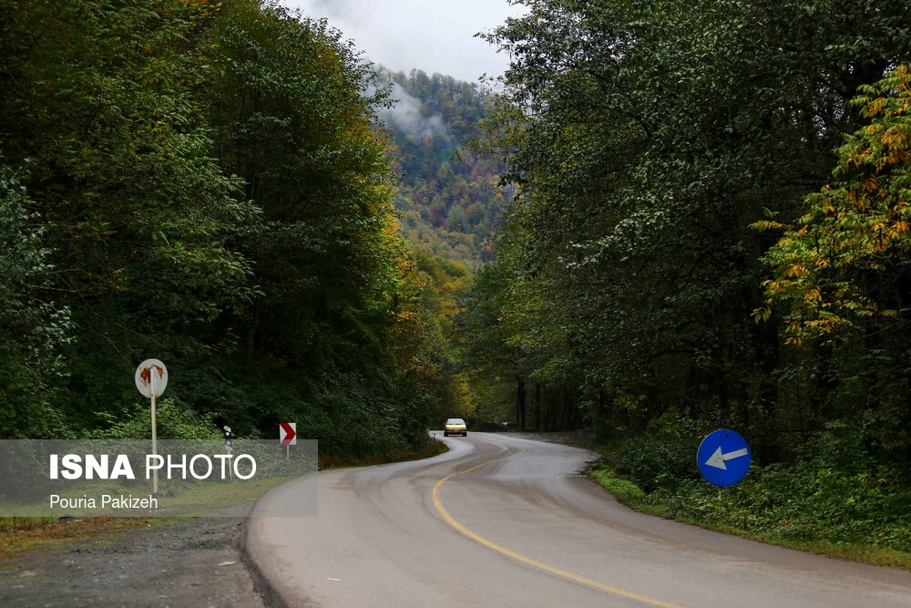 پاییز در جنگل های «هیرکانی» گیلان