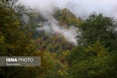 تصاویر / ایران زیباست؛ پاییز در جنگل های «هیرکانی» گیلان  <img src="/images/picture_icon.gif" width="16" height="13" border="0" align="top">