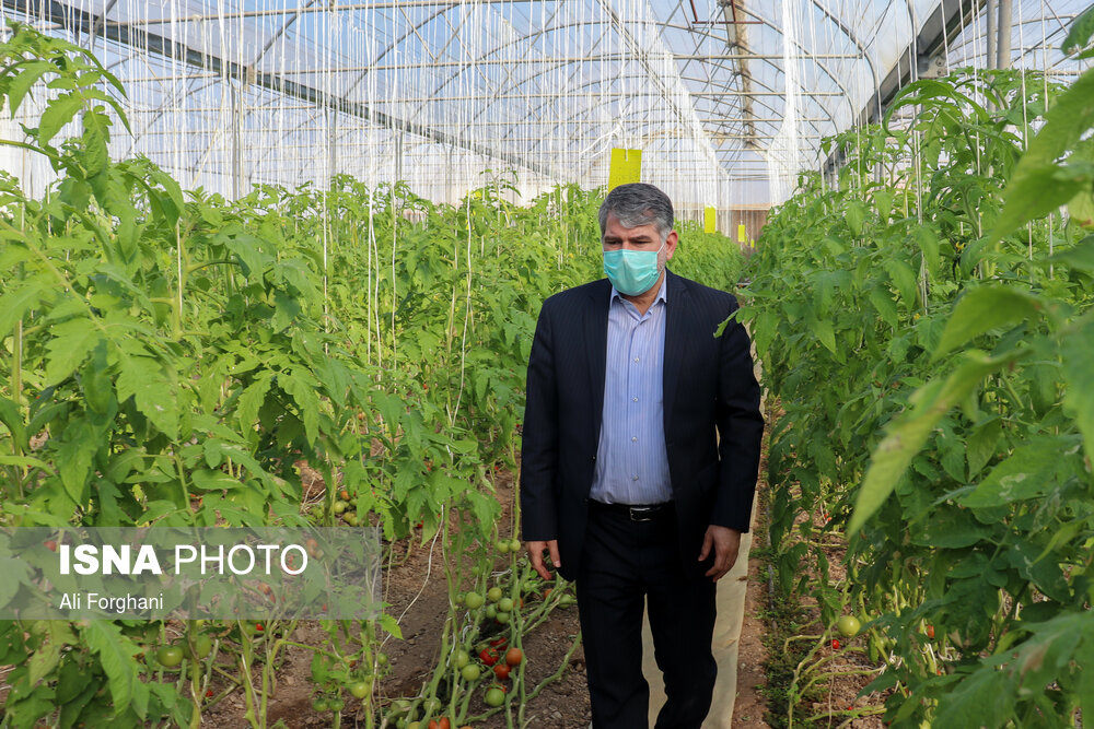 سفر اعضای کمیسیون کشاورزی مجلس به ساوه و زرندیه