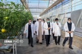 تصاویر / سفر اعضای کمیسیون کشاورزی مجلس به ساوه و زرندیه <img src="/images/picture_icon.gif" width="16" height="13" border="0" align="top"> تصاویر / سفر اعضای کمیسیون کشاورزی مجلس به ساوه و زرندیه <img src="/images/picture_icon.gif" width="16" height="13" border="0" align="top">