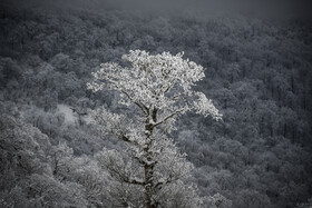 آغاز زمستان - استان گلستان