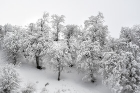 آغاز زمستان - استان گلستان