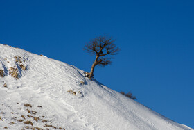 آغاز زمستان - استان گلستان