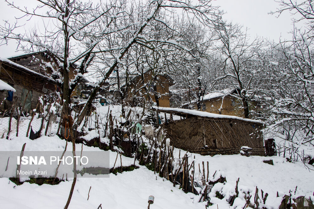 بارش برف در گیلان؛ روستای «تابستان نشین»