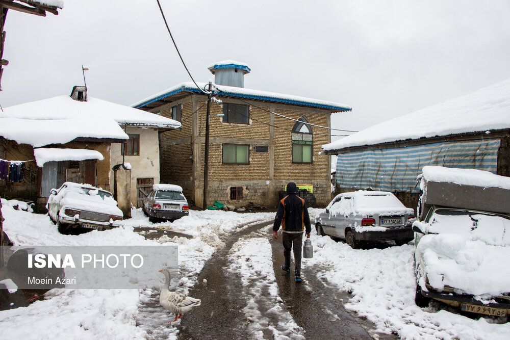 بارش برف در گیلان؛ روستای «تابستان نشین»