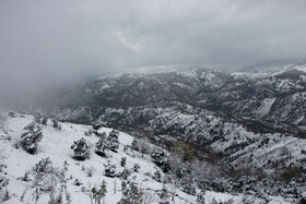 بارش برف در گیلان؛ روستای «تابستان نشین»