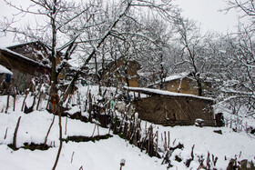 بارش برف در گیلان؛ روستای «تابستان نشین»