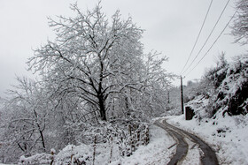 بارش برف در گیلان؛ روستای «تابستان نشین»