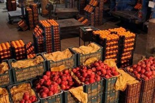 عرضه مستقیم میوه در سراسر کشور