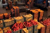 عرضه مستقیم میوه در سراسر کشور