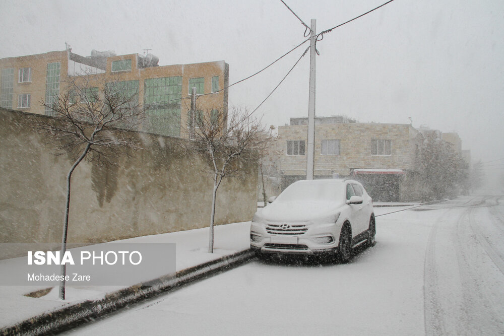 بارش برف در مشهد