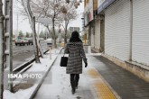 تصاویر / بارش برف در مشهد و چناران  <img src="/images/picture_icon.gif" width="16" height="13" border="0" align="top">