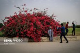 تصاویر / اهواز؛ نوروز ۱۴۰۰  <img src="/images/picture_icon.gif" width="16" height="13" border="0" align="top">