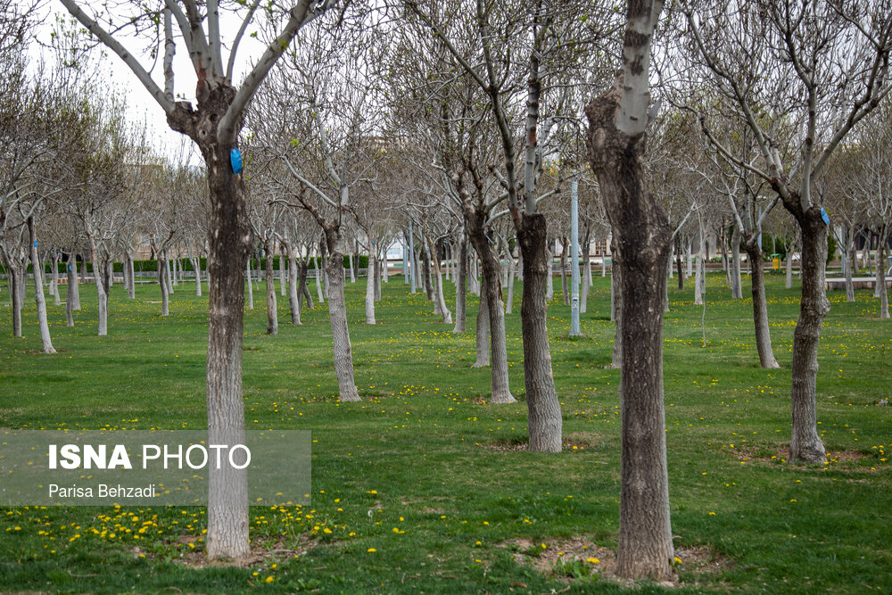 پارک شهدای گمنام اراک - ۱۳ فروردین ۱۴۰۰