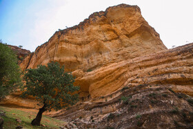 ایران زیباست؛ دره «شیرز»