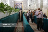 تصاویر / زیارت روضه منوره حضرت رضا(ع) در دهه کرامت  <img src="/images/picture_icon.gif" width="16" height="13" border="0" align="top">