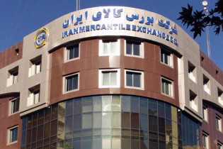 داستان بورس‌نشینی برنج/ تغییر شرایط به نفع شالیکار یا دلالان مدرن