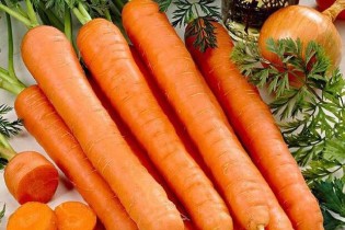 قیمت هویج کاهش یافت/ نرخ به ۱۲ هزار تومان رسید