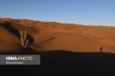 تصاویر / ایران زیباست؛ «ریگ یلان»  <img src="/images/picture_icon.gif" width="16" height="13" border="0" align="top">