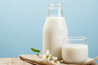 مصرف این شیر می‌تواند تا ۲ برابر وزن افراد را کاهش دهد